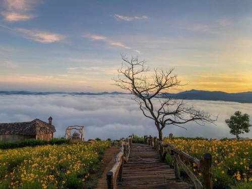 DA LAT & NHA TRANG 8DAYS 7NIGHTS