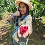 CHERRY PICKING EXPERIENCE DAY TOUR IN ORANGE